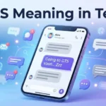 GTS-Meaning-in-Text-Definition-Uses-Examples
