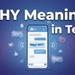 HY-Meaning-in-Text-Definition-Uses-Examples