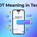 IDT Meaning in Text Definition & Examples
