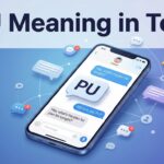 PU Meaning in Text Simple Definition & Examples
