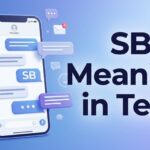 SB Meaning in Text Everything You Need to Know