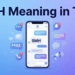 SMH-Meaning-in-Text-Full-Meaning-Uses-Examples