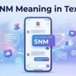 SNM-Meaning-in-Text-Full-Form-and-Usage