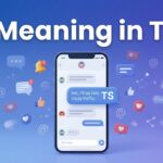 TS Meaning in Text Definition, Uses & Examples