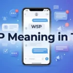 WSP-Meaning-in-Text-What-It-Means-in-Chat-Social-Media