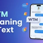 WTM-Meaning-in-Text-–-What-It-Really-Means-Online