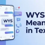 WYS-Meaning-in-Text-Definition-Uses-Examples-Social-Media-Guide
