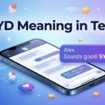 SYD Meaning in Text Definition, Uses & Examples