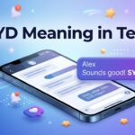SYD Meaning in Text Definition, Uses & Examples