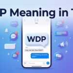 WDP Meaning in Text Full Form and Chat Usage