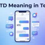 WTD Meaning in Text What It Means and How to Reply