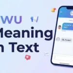 DWU-Meaning-in-Text-What-It-Means-and-How-to-Reply