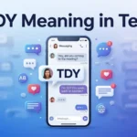 TDY Meaning in Text Definition, Uses & Examples