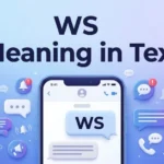 WS-Meaning-in-Text-What-It-Means-in-Chat