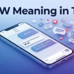WYW Meaning in Text Definition, Examples & Uses