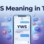 YWS-Meaning-in-Text-Definition-Examples-and-How-to-Reply