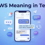 DWS Meaning in Text Definition, Uses, Examples, and Context